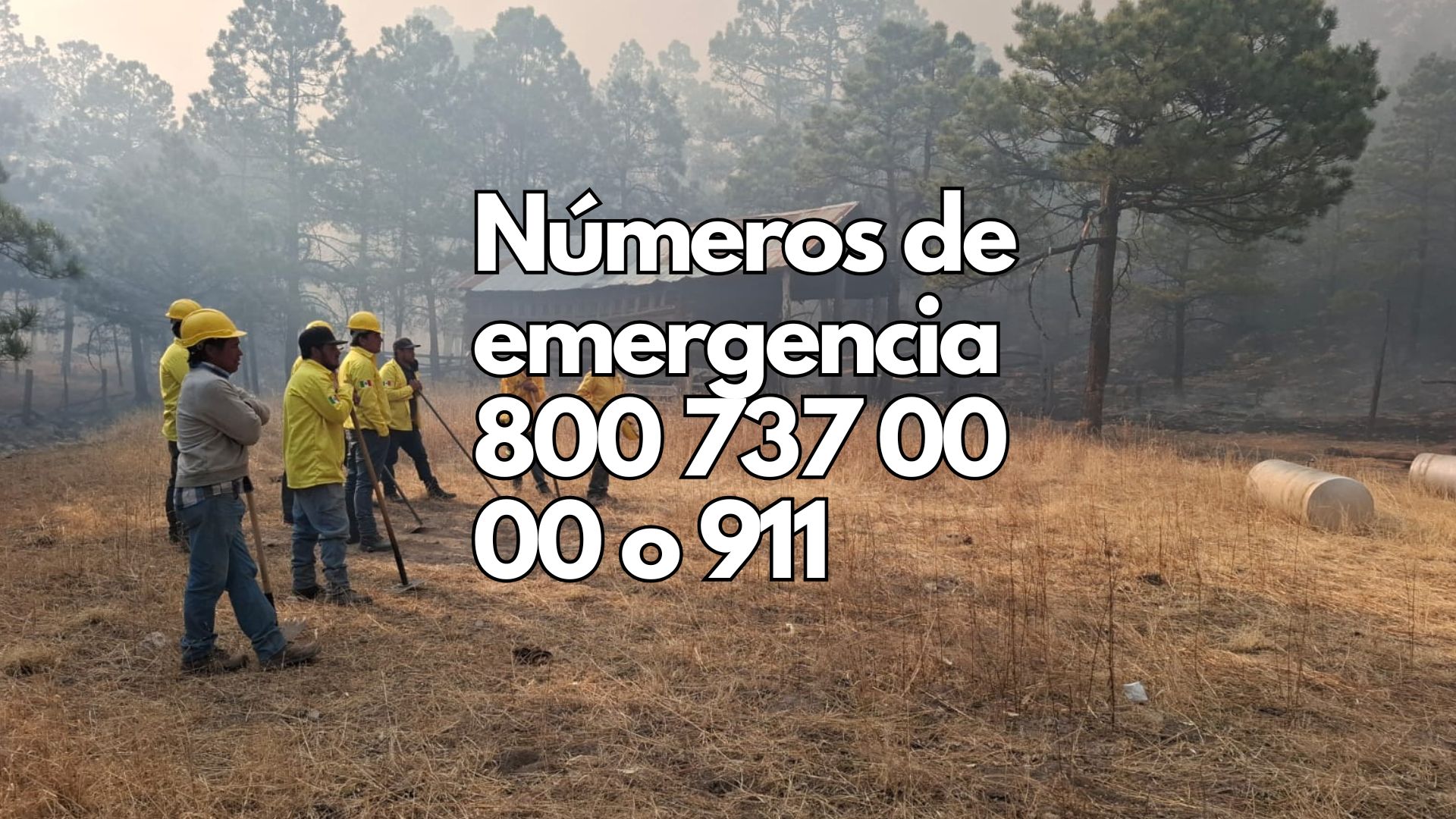143 brigadistas combaten siete incendios forestales en cuatro municipios