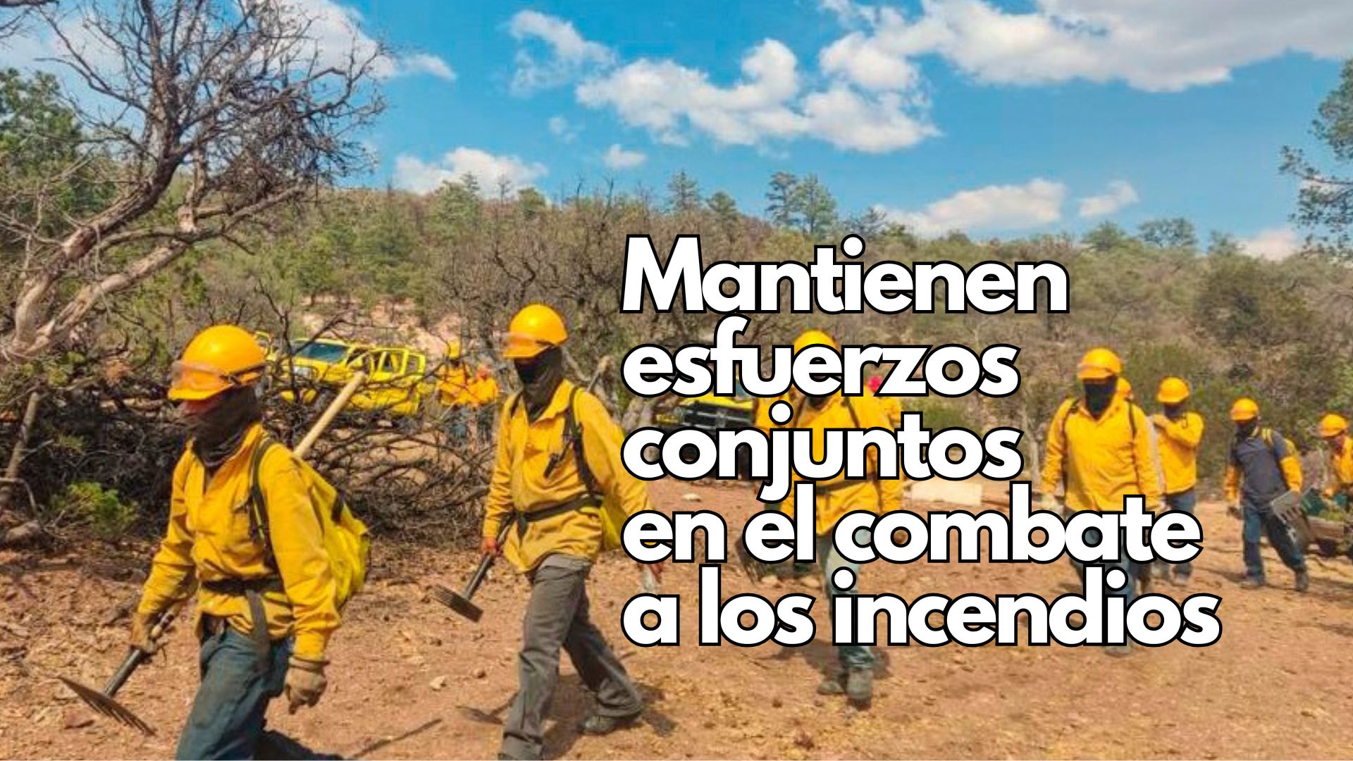 Autoridades estatales y federales acuerdan en Mesa de Seguridad mantener coordinación en combate de incendios forestales
