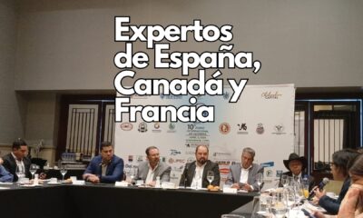 El 4 de abril, la entidad reunirá a empresarios, productores y expertos de países como España, Canadá y Francia para impulsar el crecimiento del sector.