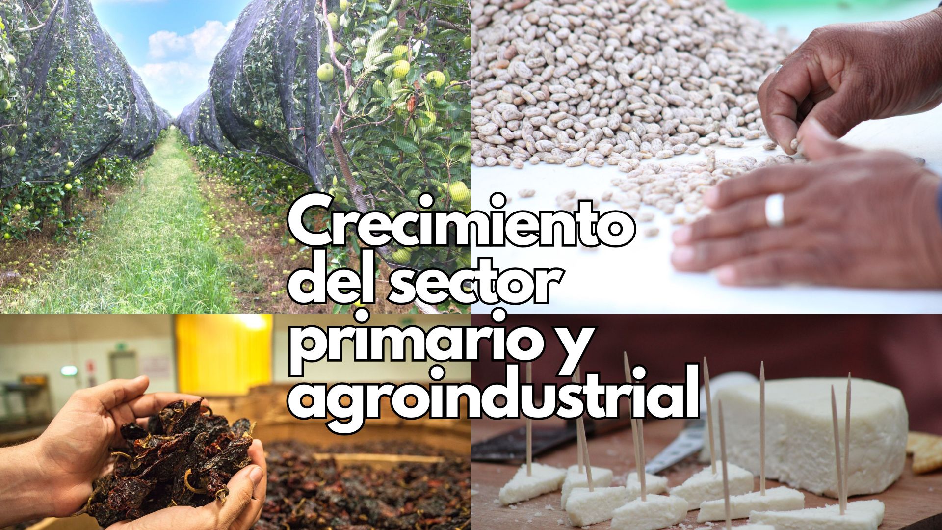 Impulsa SDR el crecimiento agroindustrial con apoyos directos a municipios y empresas