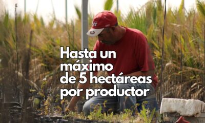 Lanzan programa de apoyo para productores agrícolas con subsidio en bioinsumos y mejoradores de suelo