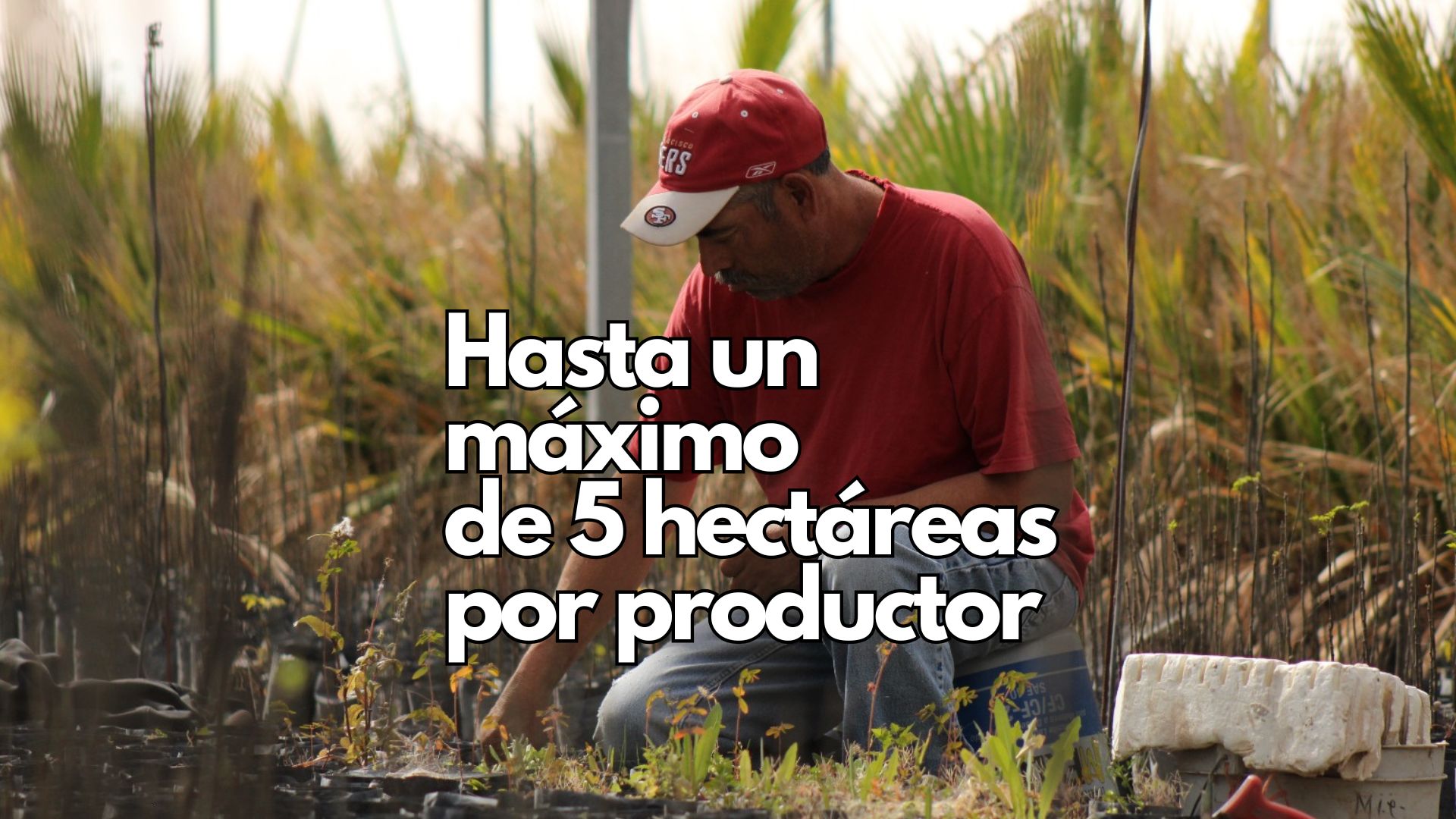Lanzan programa de apoyo para productores agrícolas con subsidio en bioinsumos y mejoradores de suelo