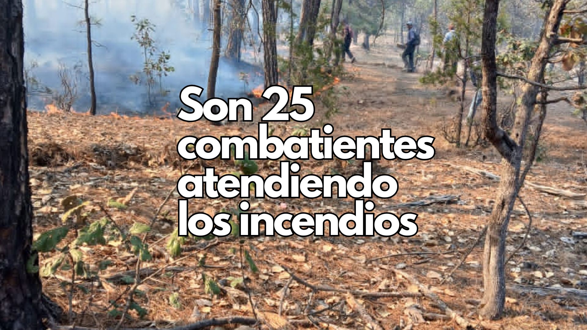 Despliegan brigadas para combatir tres incendios forestales en el estado