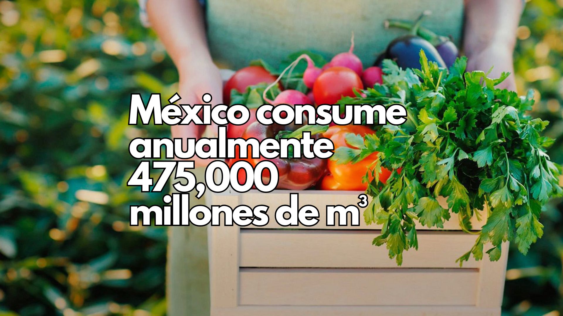 Menos agua, procesos más eficientes