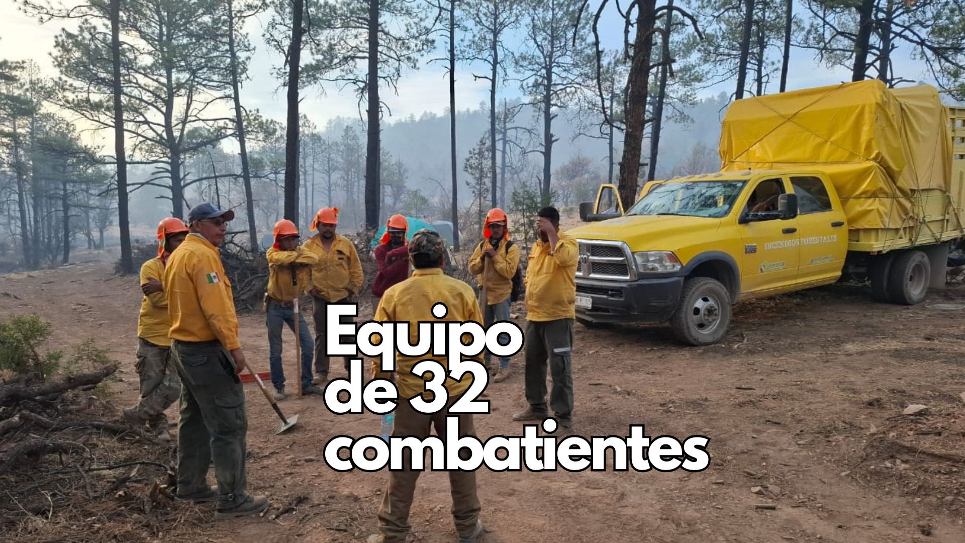En lo que va del año se han registrado 492 incendios forestales en el estado
