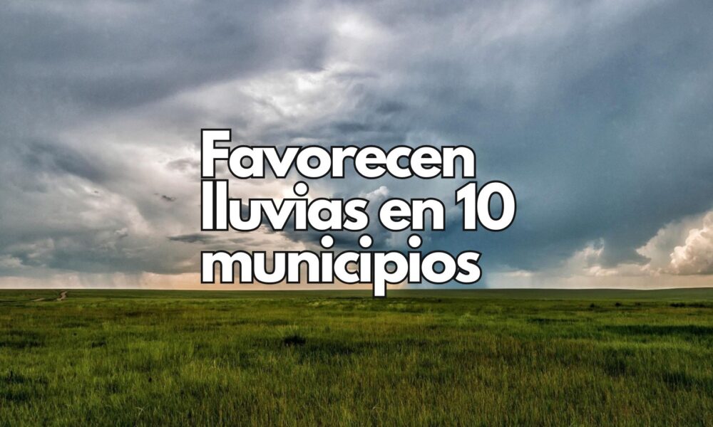 Benefician lluvias a más de 400 mil hectáreas de cultivos de temporal en Chihuahua
