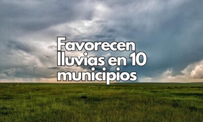 Benefician lluvias a más de 400 mil hectáreas de cultivos de temporal en Chihuahua