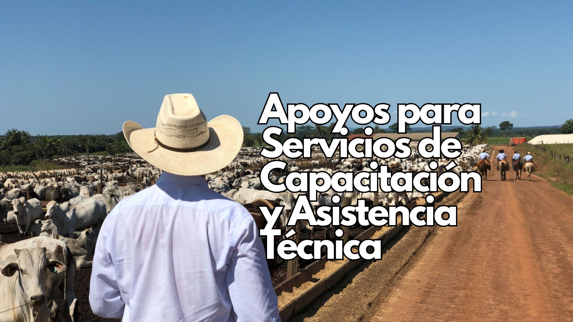 Cierre de la convocatoria de apoyo a productores de ganado bovino