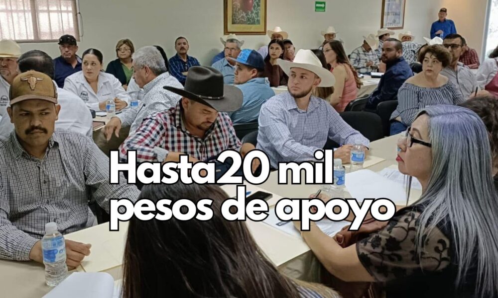 Para eventos de capacitación, talleres y asistencia técnica