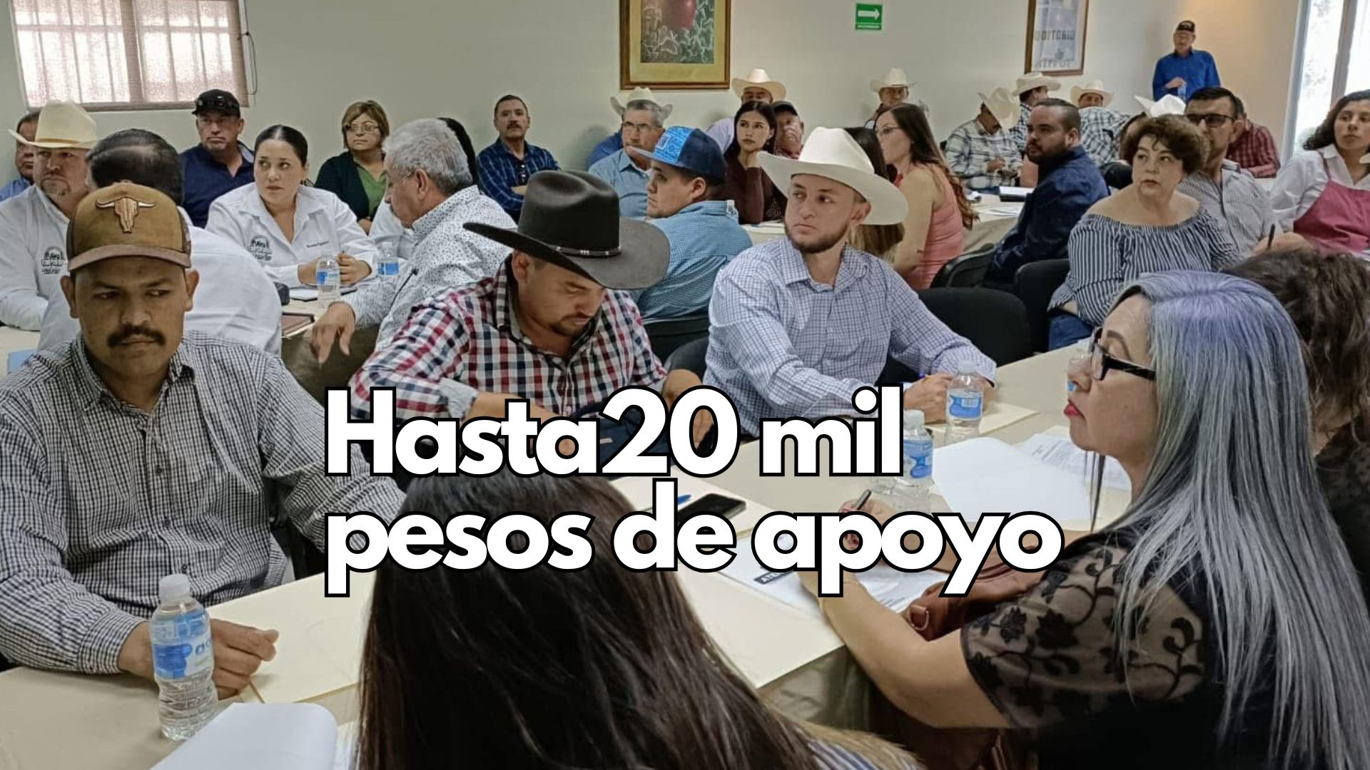 Para eventos de capacitación, talleres y asistencia técnica