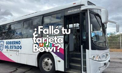 Usar la línea de atención por WhatsApp ayuda a que el servicio Bowí sea más ágil, cercano y confiable para toda la ciudad. ¡Tu reporte sí cuenta!