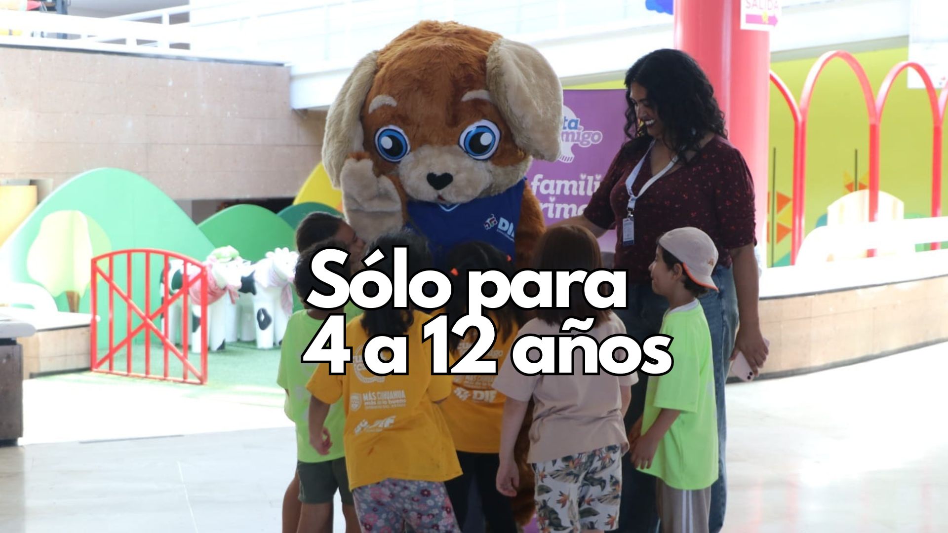 ¡Arranca el tercer curso del Verano Sensacional en el Museo Semilla y Parque El Colibrí!