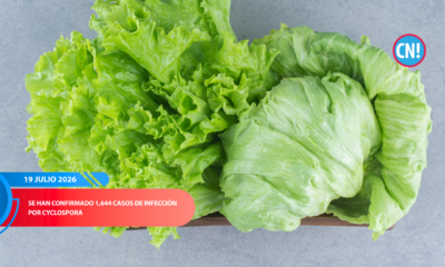 Lechuga iceberg en exhibición mientras la FDA investiga un brote de Cyclospora vinculado a un proveedor de México en Estados Unidos.