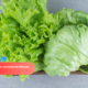 Lechuga iceberg en exhibición mientras la FDA investiga un brote de Cyclospora vinculado a un proveedor de México en Estados Unidos.